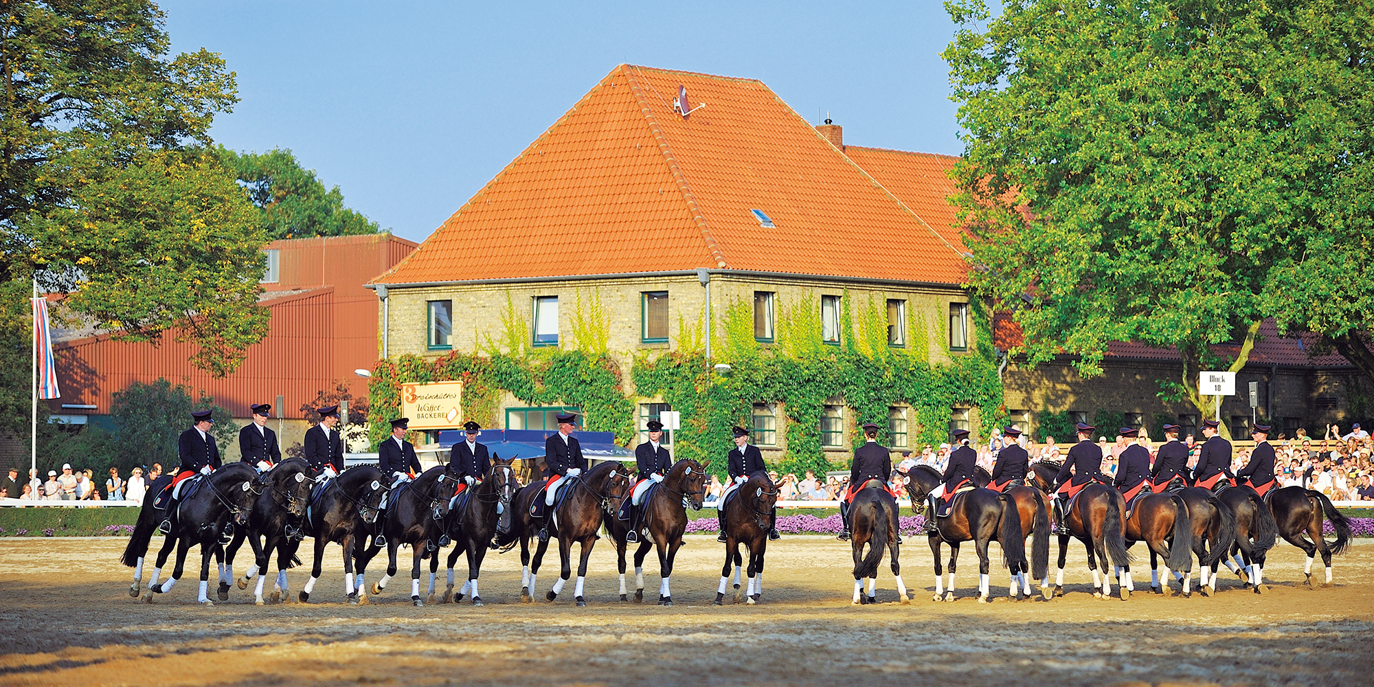 馬と共に生きる町＿ドイツ･ヴァーレンドルフを訪ねて